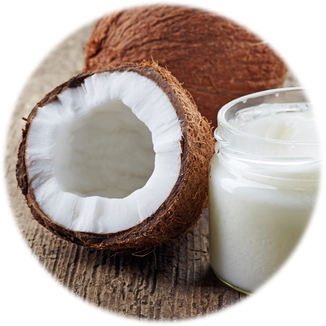 Dried brown Coconut fruit  beside white Coconut oil in glass jar.