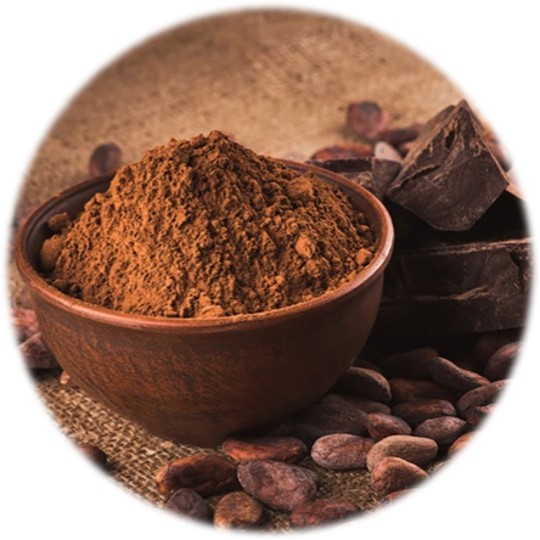 Cocoa Powder - Cocoa Bean - Cocoa Mass